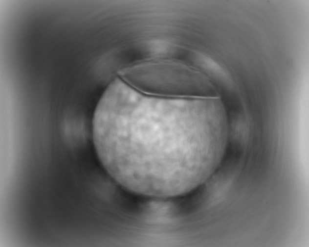 X0000096690272200802121238