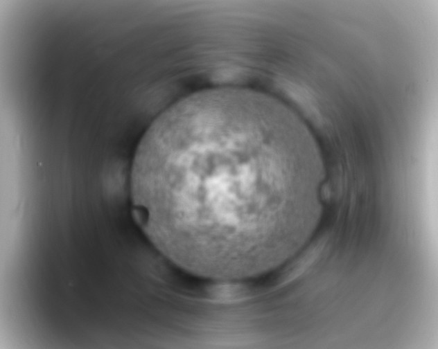 X0000096690273200802121238