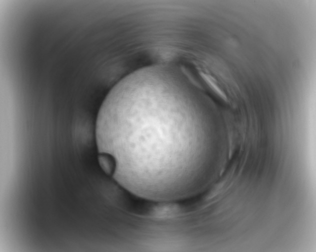 X0000096690274200802121238