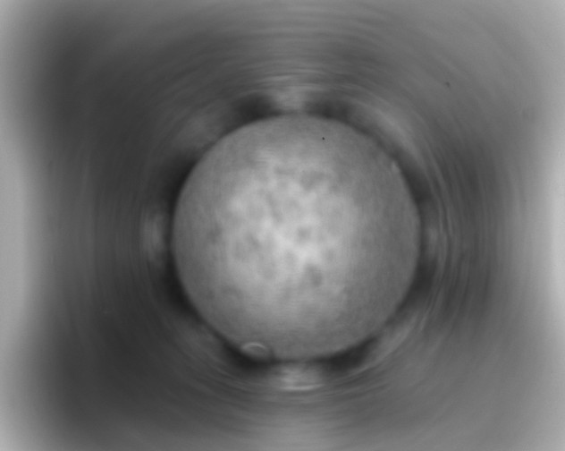 X0000096690275200802121238