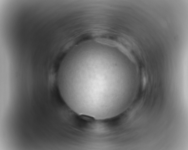 X0000096690276200802121238