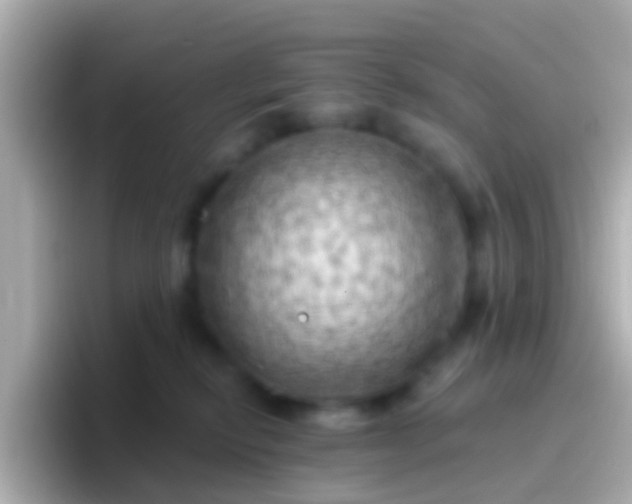 X0000096690278200802121238