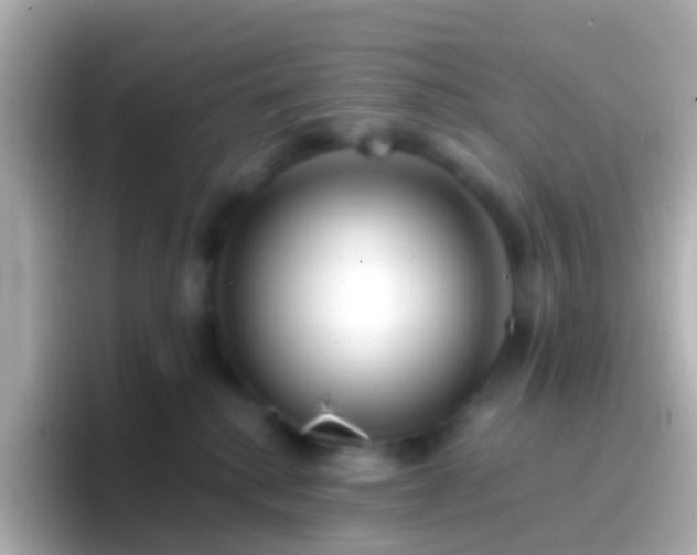 X0000096690280200802121238