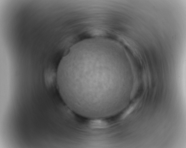 X0000096690281200802121238