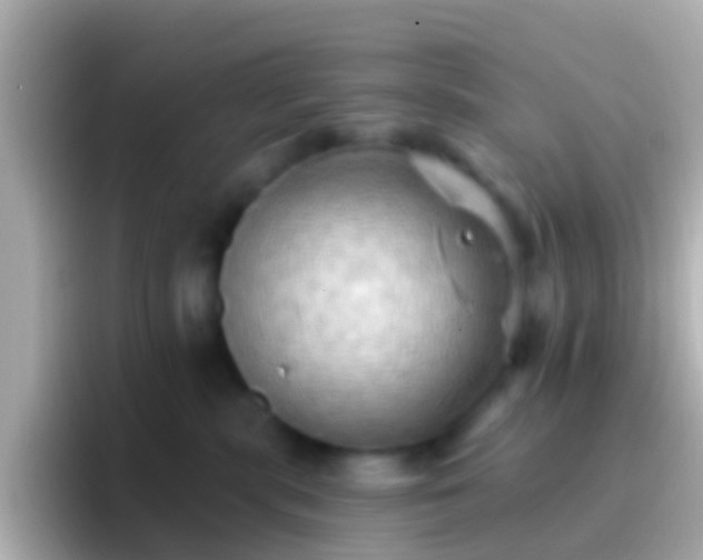 X0000096690283200802121239