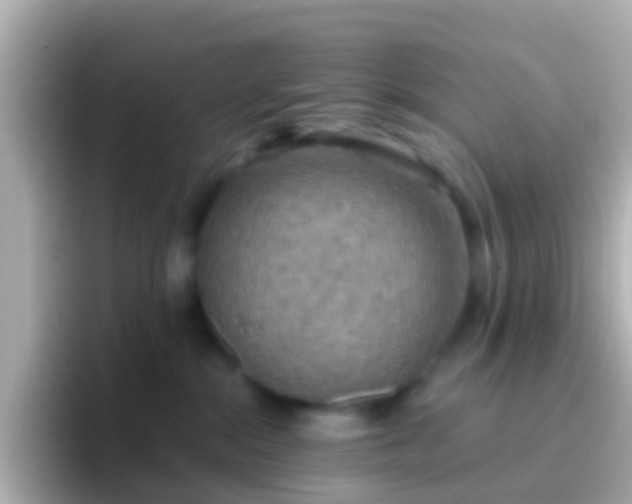 X0000096690284200802121239