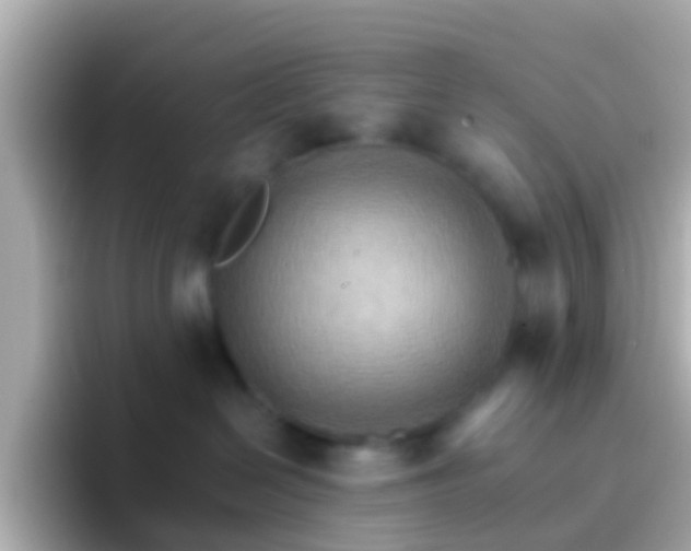 X0000096690286200802121239