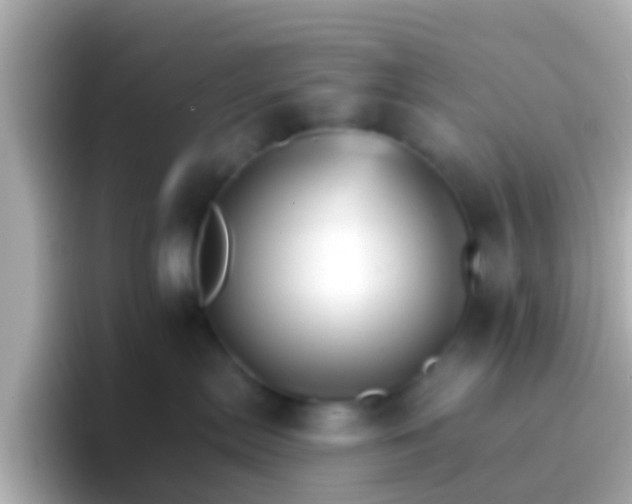 X0000096690287200802121239