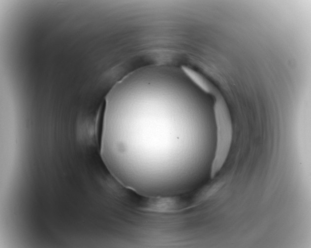 X0000096690288200802121239