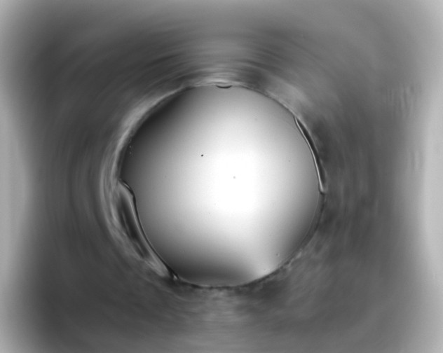 X0000096690289200802121238