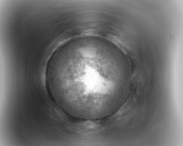 X0000096690290200802121238