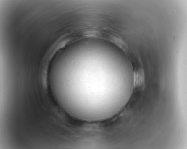 X0000096690291200802121238