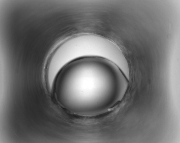 X0000096690292200802121238