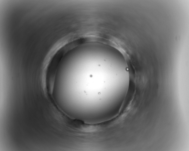 X0000096690293200802121238