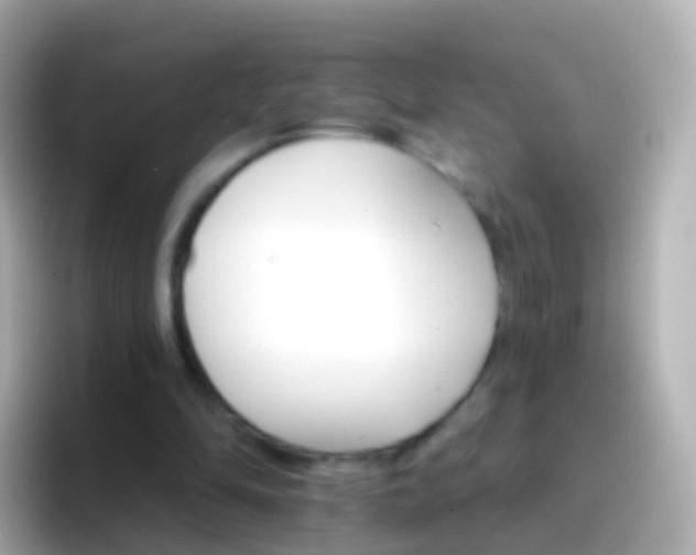 X0000096690294200802121238