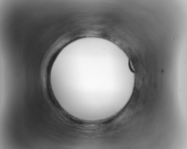 X0000096690295200802121238