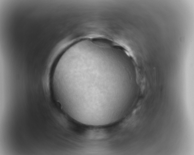 X0000096690296200802121238