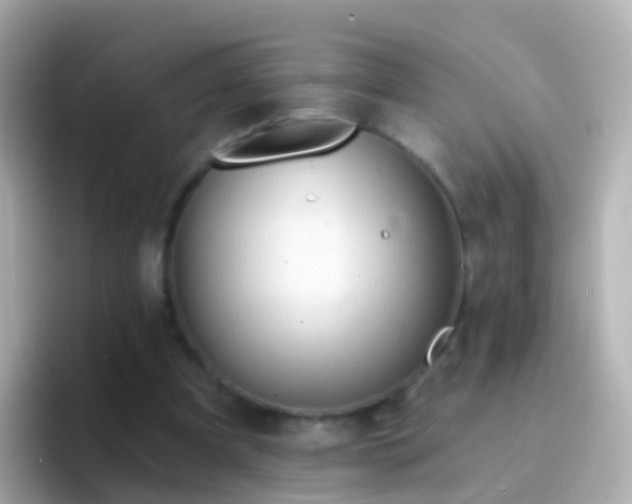 X0000096690297200802121238