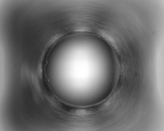 X0000096690298200802121238