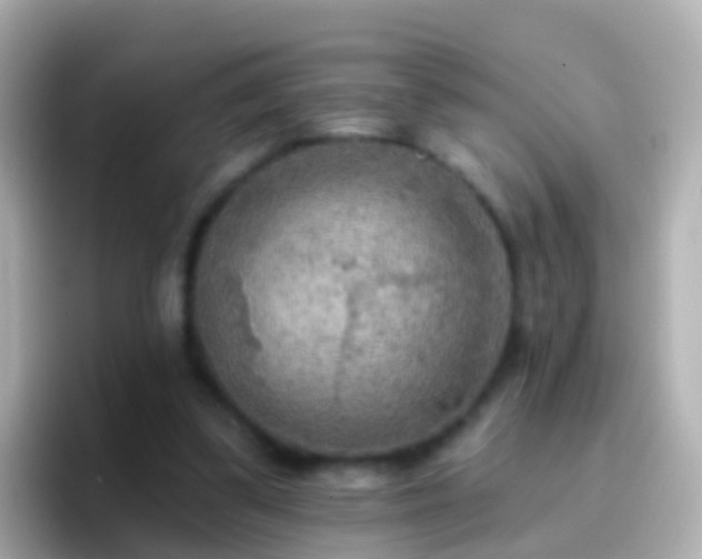 X0000096690299200802121238