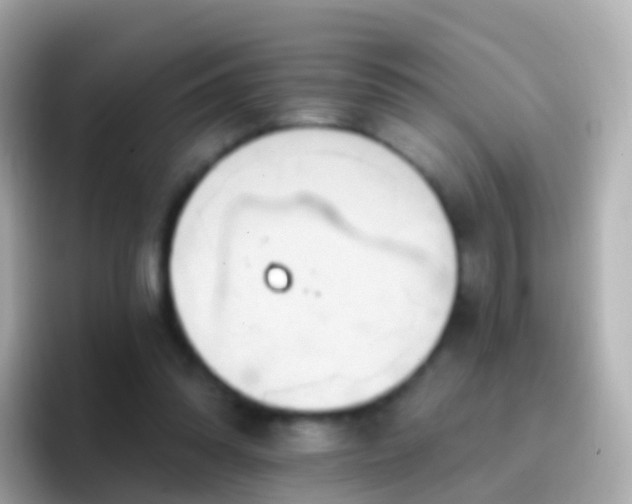 X0000096690302200802121238