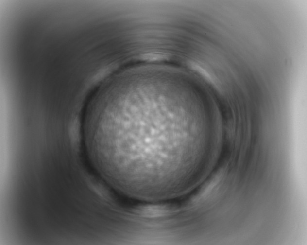 X0000096690303200802121238