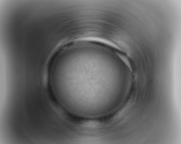 X0000096690304200802121238