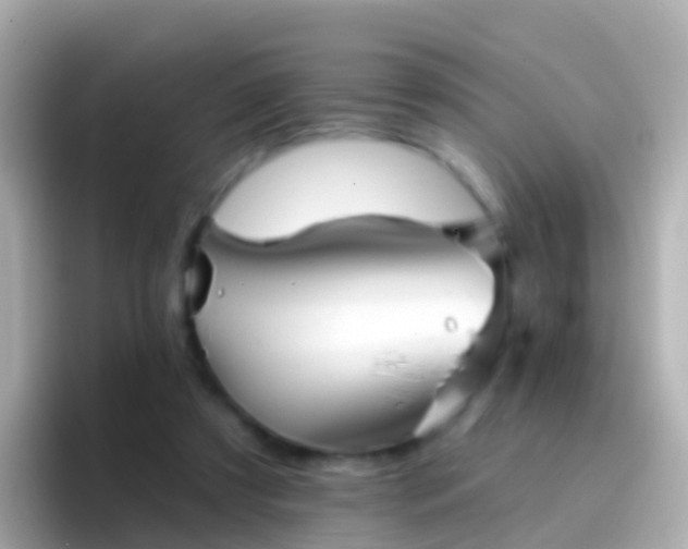 X0000096690305200802121238