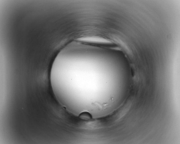 X0000096690306200802121238