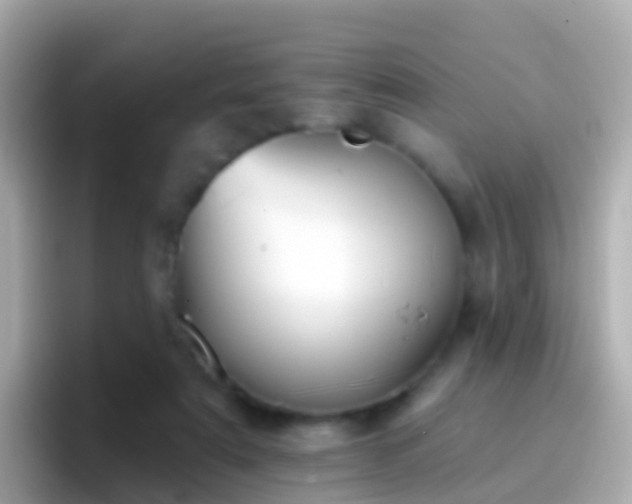 X0000096690307200802121238