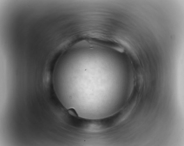 X0000096690308200802121238