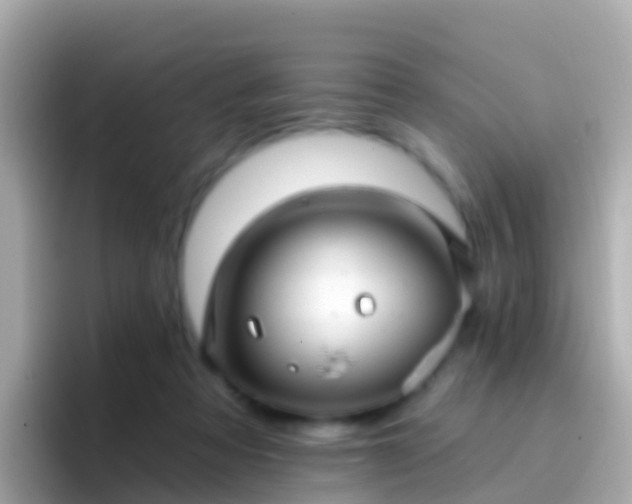 X0000096690313200802121238