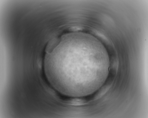 X0000096690315200802121238