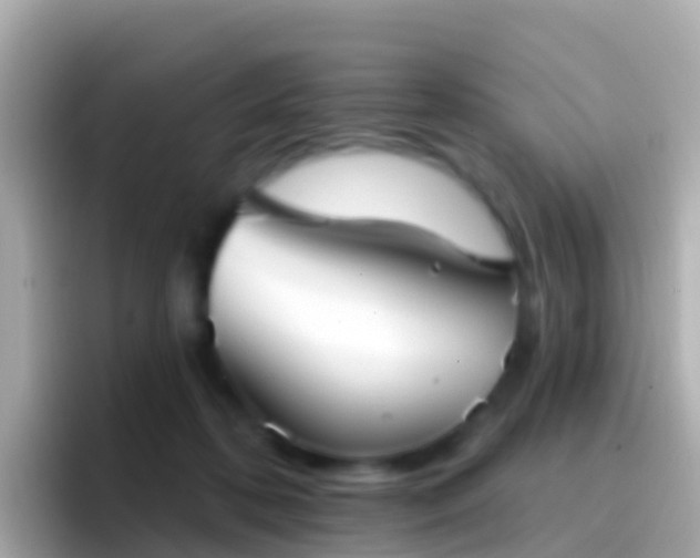 X0000096690316200802121238