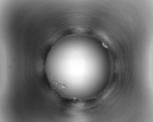 X0000096690318200802121238