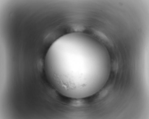 X0000096690321200802121238