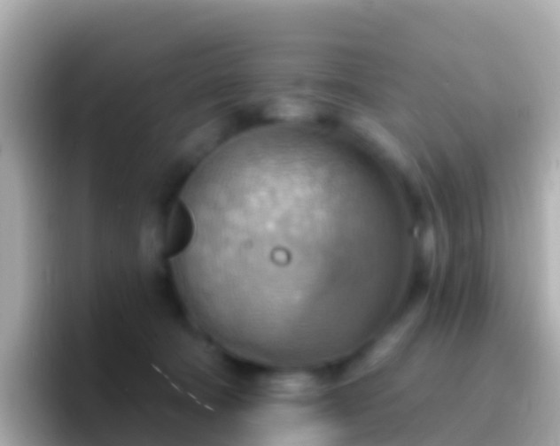 X0000096690322200802121238