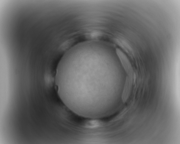 X0000096690324200802121237