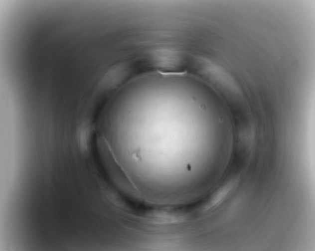 X0000096690325200802121237