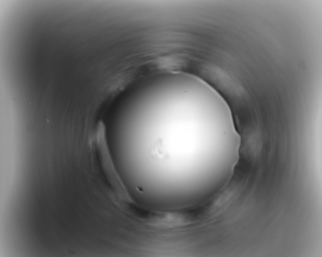 X0000096690329200802121237