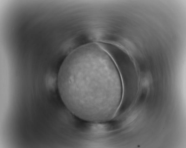 X0000096690332200802121237