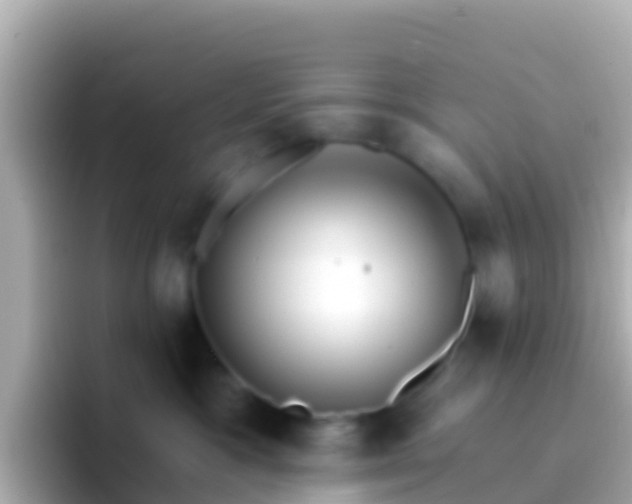 X0000096690333200802121237