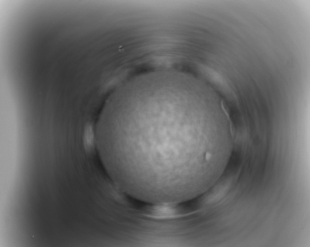 X0000096690335200802121237