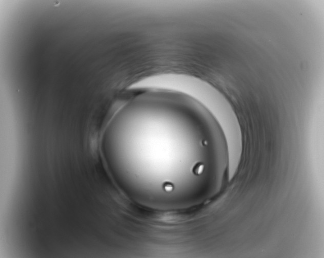 X0000096690336200802121237