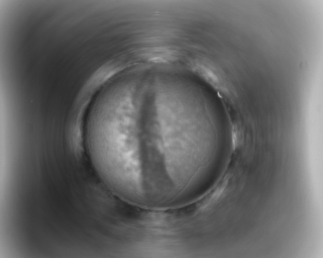 X0000096690339200802121237