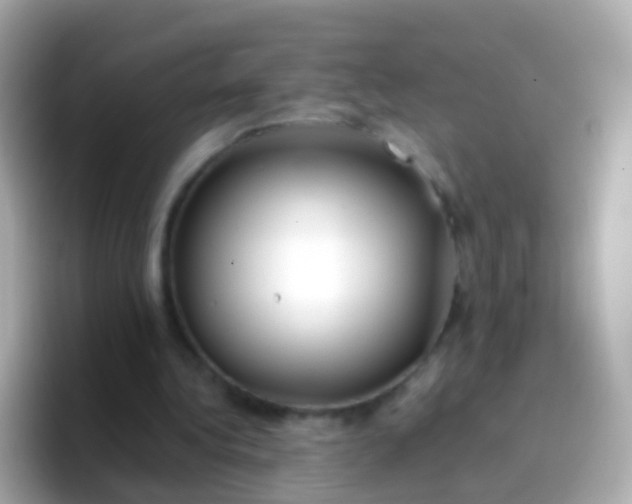 X0000096690340200802121237