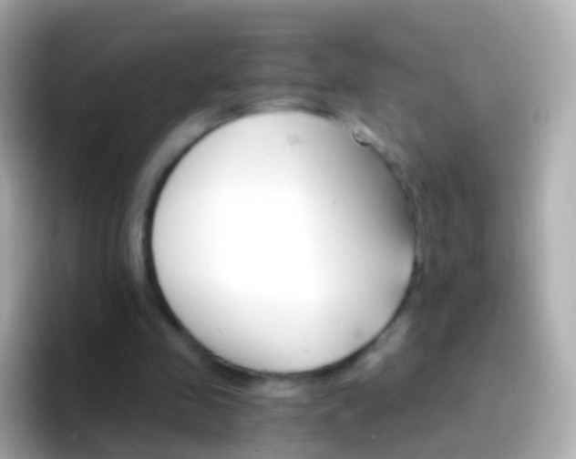 X0000096690341200802121237