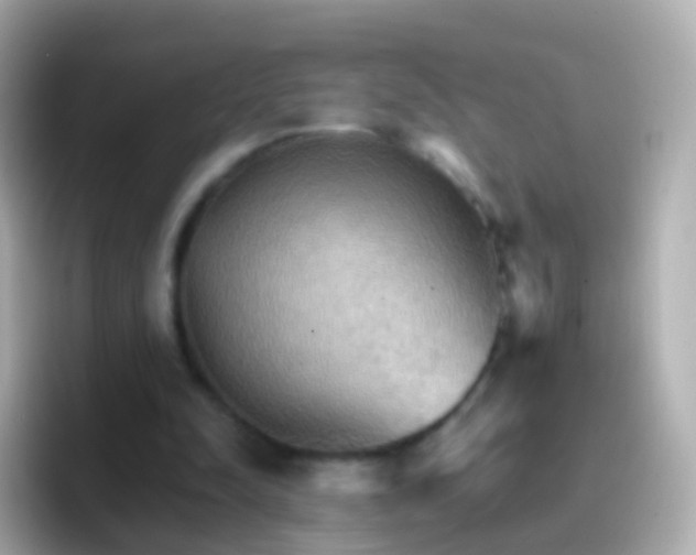 X0000096690342200802121237