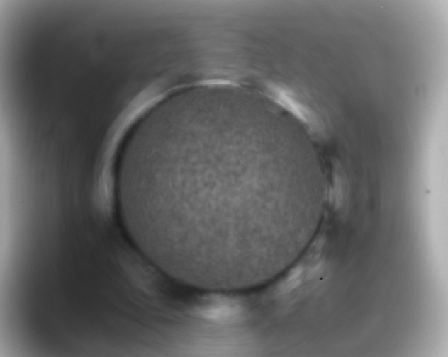 X0000096690343200802121237