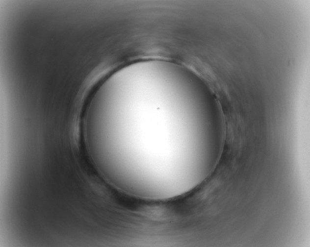 X0000096690344200802121237